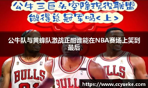 公牛队与黄蜂队激战正酣谁能在NBA赛场上笑到最后